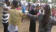 İstanbul Bertalılar Yaz Piknik Şöleni - Koçari