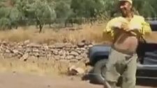 Adamdan Çılgın Oryantal Dans