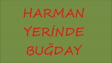 Harman Yerinde Buğday Tanesi Kaybetmek