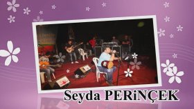 Seyda Perinçek - Hatın Gerila Seyda Perinçek - Hatın Gerila