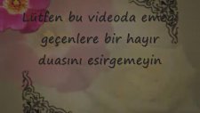 Hz Muhammed (Sav) Anne Hakkı Ödenmez