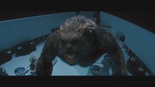 Percy Jackson: Canavarlar Denizi - Türkçe Dublajlı Fragman