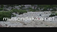 Mut’ta 2 Ayrı Trafik Kazasında 5 Ölü 2 Yaralı