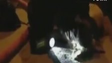 Köpeğini Suni Teneffüs ile Kurtaran Adam!