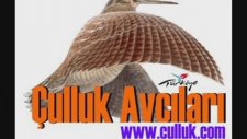 Çulluk Avı