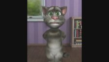 Gangnam Style Konuşan Kedi