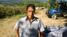 Andırın Orhaniye Köyü Böğürtlen Bahçesi