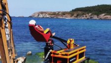 Plajlarda Mancinix Çılgınlığı