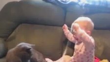 Bebeği Güldüren Kedi