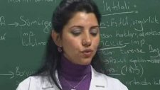 Ders: 375 Hunlar Kavimler Göçü (ortaçağ Roma İmparatorluğu)