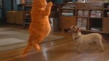 Bas Gaza Garfield