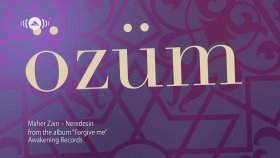 Maher Zain - Neredesin Maher Zain - Neredesin