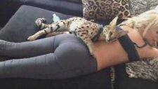 Poposunda Vahşi Kedi Besleyen Kız