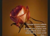 Allaha Kul Olamadim Afet Ya Rabbim