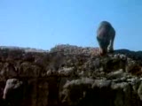 tarkan-viking kanı