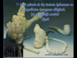 Tarkan - Yeni Yıl
