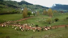 Aşağı Koyunlu Ve Yukarı Koyunlu Köylerinde İlkbahar Ve Muhteşem Doğa