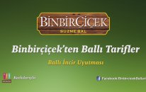 Ballı İncir Uyutması