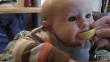 Limon Yiyen Bebek