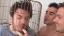 Çipet Pet