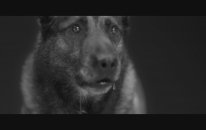 Woodkid - Iron