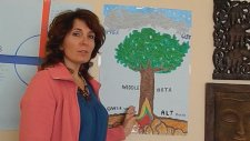 Juanita'la Deneyimle'de Şamanik Yolculuk