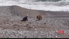 Türkiye Bu Köpeği Konuşuyor