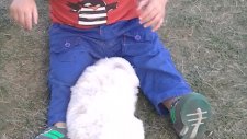 Mert'in Köpeği İle Oynuyor