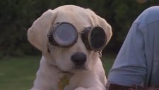 Marley and Me: The Puppy Years (2011) Fragman