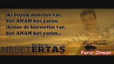 Neşet Ertaş - Gitme Bülbül Gitme Bahar Erişti (Ferzi Orman)