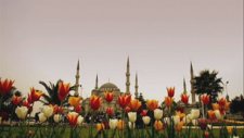 Sevdim Seni Mabuduma