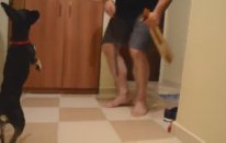 Kemençe Sesiyle Kendinden Geçen Köpek