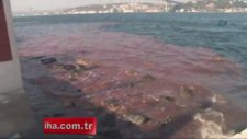 İstanbul Boğazı yine kan gölüne döndü