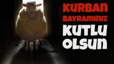 Bayram Denince: Kaçan Boğalar