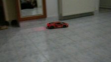 Lamborgini