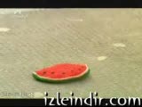 Şarışın Afet