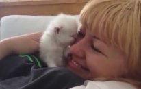 Öpmeye Doyamayan Kedi