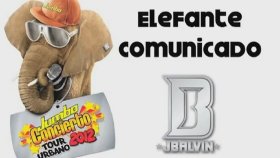 J Balvin - Confırma Gıra Jumbo Concıerto J Balvin - Confırma Gıra Jumbo Concıerto