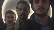 Genel vine kitlesi