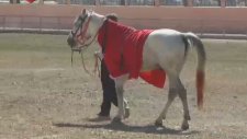 Kütahya'da Rahvan At Yarışları