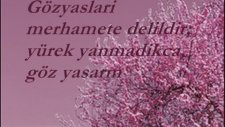 Mehmet Emin Ay - Beyaz Dilekçe