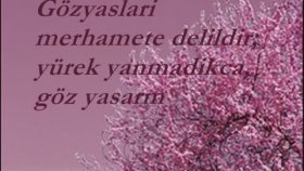 Mehmet Emin Ay - Beyaz Dilekçe Mehmet Emin Ay - Beyaz Dilekçe