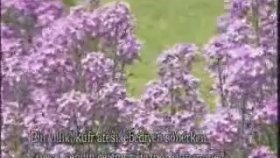 Mehmet Emin Ay - O Gece Sendin Gelen Mehmet Emin Ay - O Gece Sendin Gelen