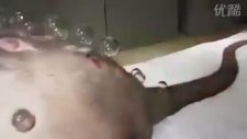 Dünyanın En Büyük Faresi!