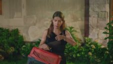 Kedi Özledi Fragmanı