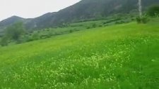 Özgür Özcan - Al Almaya Gelmişem