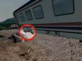 tren kazası