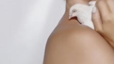 Gülben Ergen - Yarı Çıplak