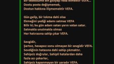 Alirıza Alagöz - Yanlızım Dostlarım Yalnızım Yalnızım
