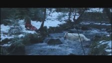 Survivre avec les Loups (2007) Fragman